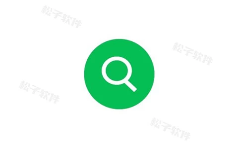 Windows UltraSearch Professional 文件搜索工具_v4.1.3 绿色便携版-松子软件