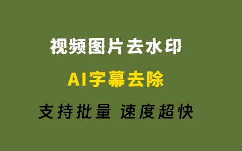 Ai视频图片批量去水印工具，支持字幕水印去除，支持批量添加去除图片视频水印，自媒体神器！