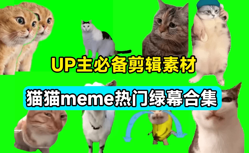 UP主必备！B站某音热门绿幕视频素材，180套猫猫meme动态绿幕合集包，含背景图BGM，含使用教程